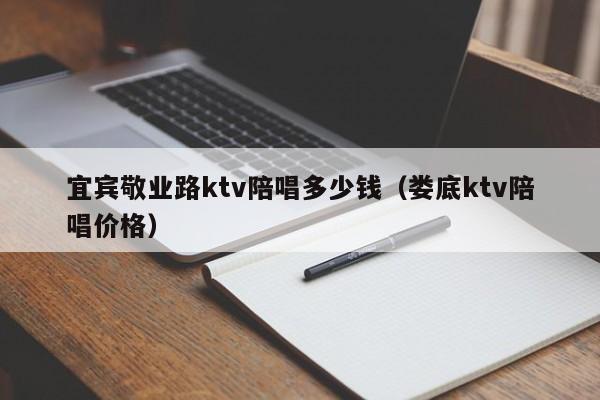 宜宾敬业路ktv陪唱多少钱（娄底ktv陪唱价格）