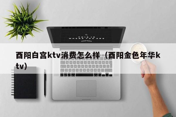 酉阳白宫ktv消费怎么样（酉阳金色年华ktv）