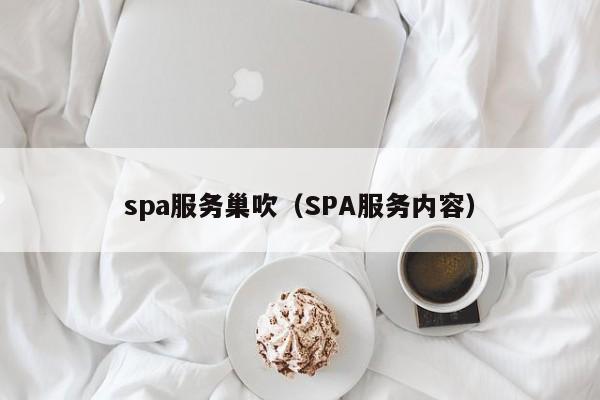 spa服务巢吹（SPA服务内容）