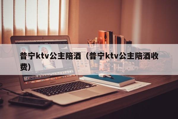 普宁ktv公主陪酒（普宁ktv公主陪酒收费）