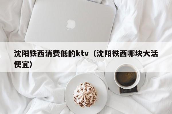 沈阳铁西消费低的ktv（沈阳铁西哪块大活便宜）