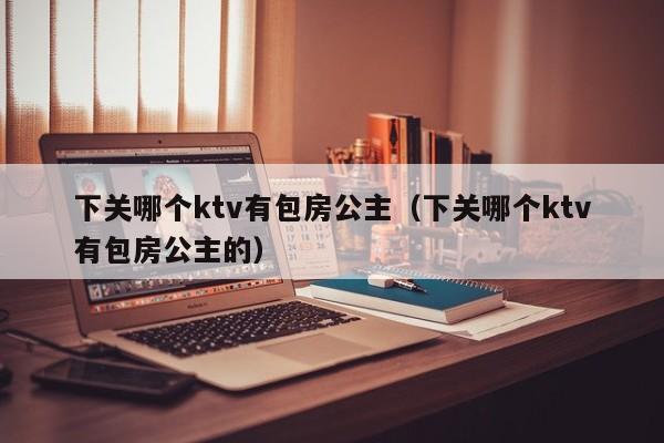 下关哪个ktv有包房公主（下关哪个ktv有包房公主的）