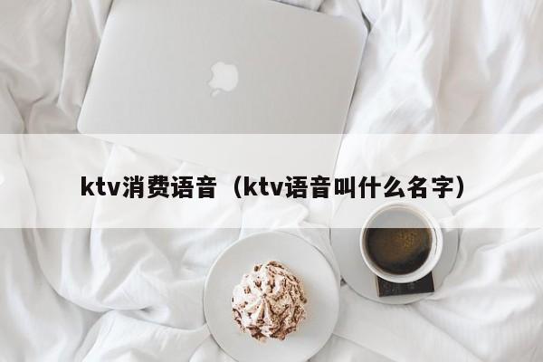 ktv消费语音（ktv语音叫什么名字）