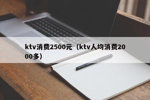 ktv消费2500元（ktv人均消费2000多）