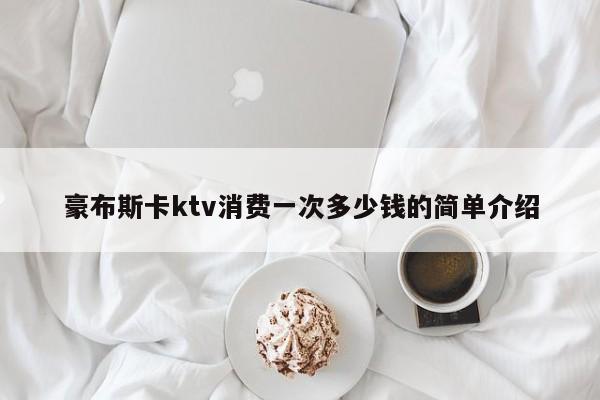 豪布斯卡ktv消费一次多少钱的简单介绍