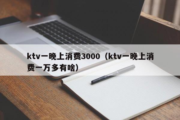 ktv一晚上消费3000（ktv一晚上消费一万多有啥）