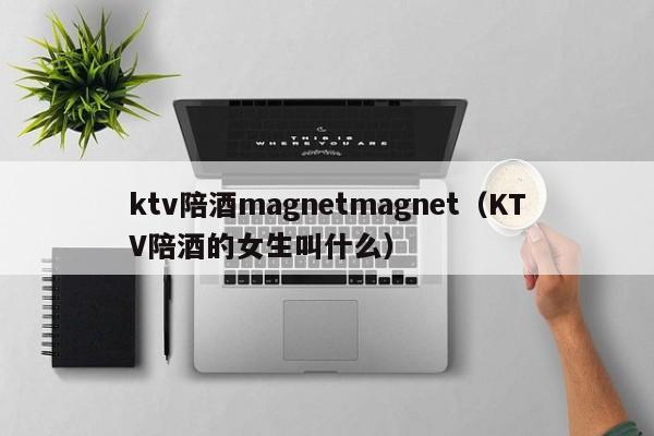 ktv陪酒magnetmagnet（KTV陪酒的女生叫什么）