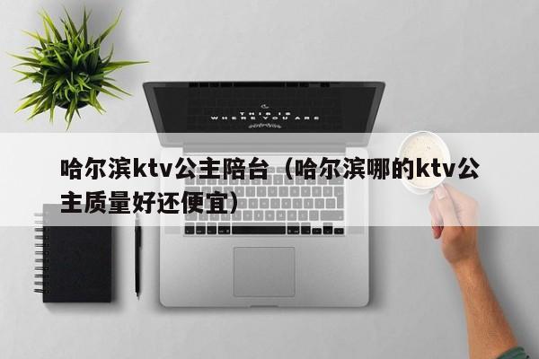 哈尔滨ktv公主陪台（哈尔滨哪的ktv公主质量好还便宜）