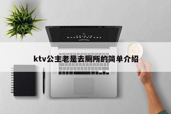 ktv公主老是去厕所的简单介绍