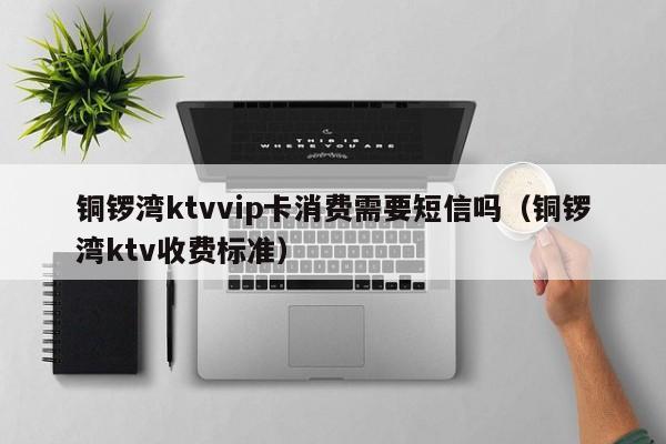 铜锣湾ktvvip卡消费需要短信吗（铜锣湾ktv收费标准）