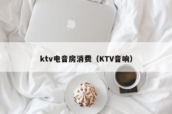 ktv电音房消费（KTV音响）