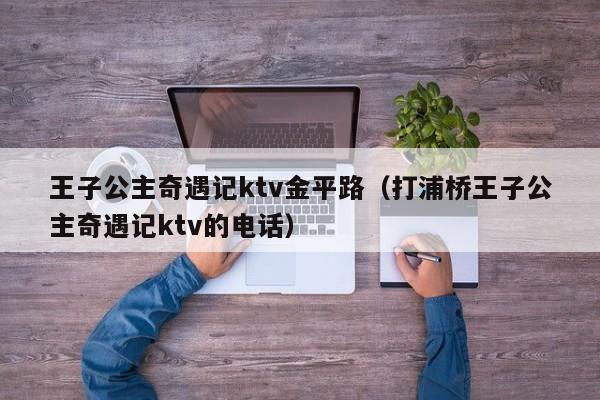 王子公主奇遇记ktv金平路（打浦桥王子公主奇遇记ktv的电话）