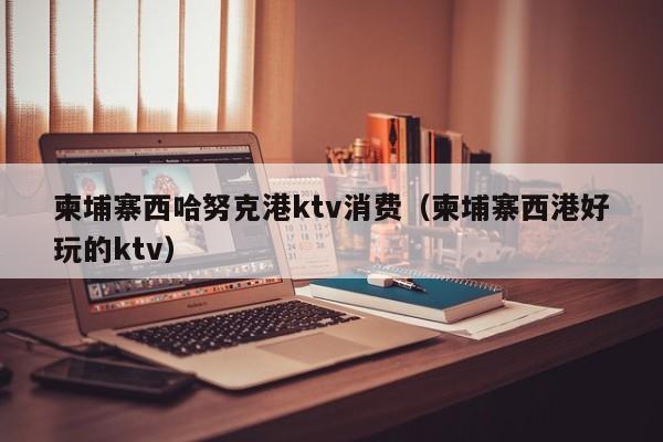 柬埔寨西哈努克港ktv消费（柬埔寨西港好玩的ktv）