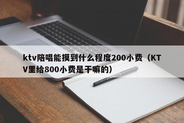 ktv陪唱能摸到什么程度200小费（KTV里给800小费是干嘛的）