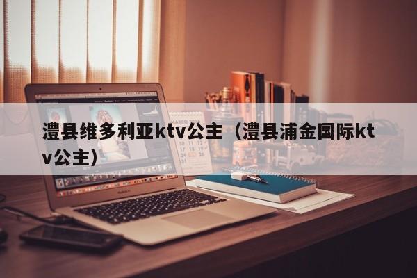 澧县维多利亚ktv公主（澧县浦金国际ktv公主）