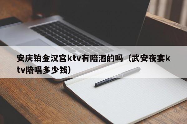 安庆铂金汉宫ktv有陪酒的吗（武安夜宴ktv陪唱多少钱）