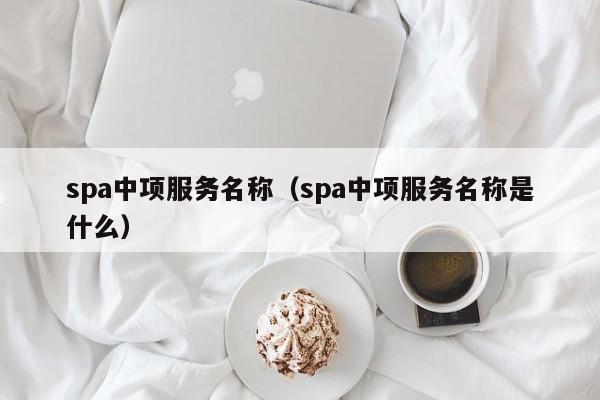 spa中项服务名称（spa中项服务名称是什么）