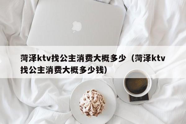 菏泽ktv找公主消费大概多少（菏泽ktv找公主消费大概多少钱）