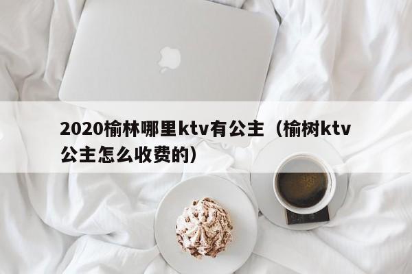 2020榆林哪里ktv有公主（榆树ktv公主怎么收费的）