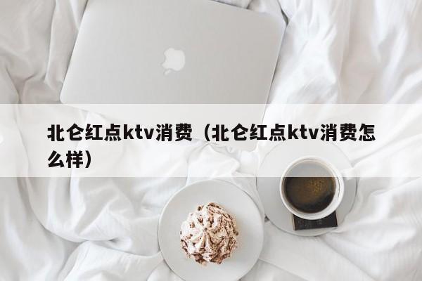 北仑红点ktv消费（北仑红点ktv消费怎么样）