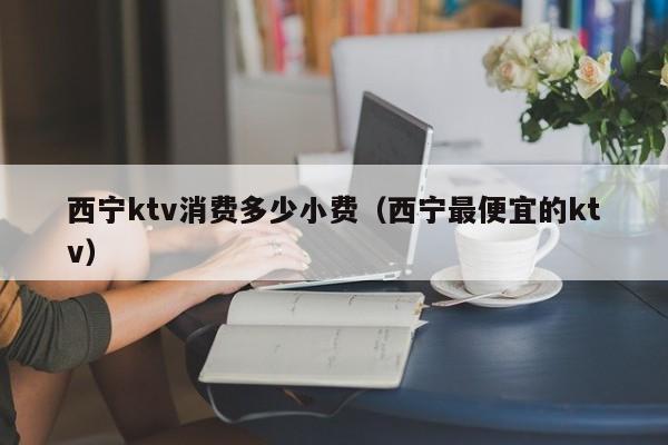 西宁ktv消费多少小费（西宁最便宜的ktv）