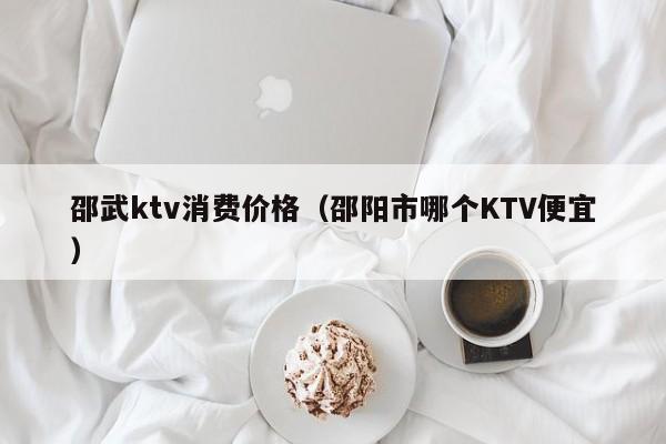 邵武ktv消费价格（邵阳市哪个KTV便宜）