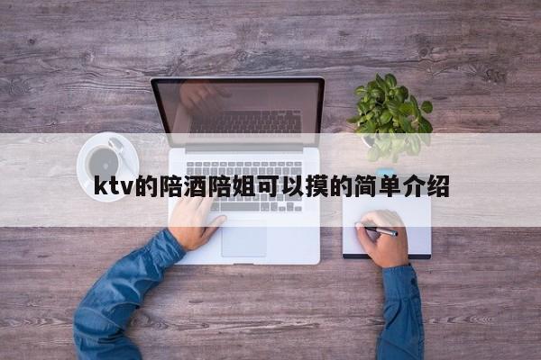 ktv的陪酒陪姐可以摸的简单介绍