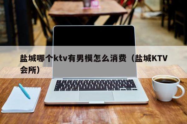 盐城哪个ktv有男模怎么消费（盐城KTV会所）