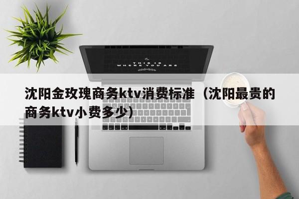 沈阳金玫瑰商务ktv消费标准（沈阳最贵的商务ktv小费多少）