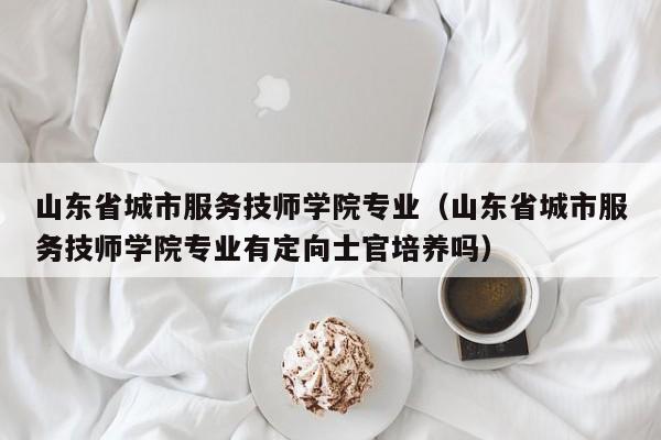 山东省城市服务技师学院专业（山东省城市服务技师学院专业有定向士官培养吗）