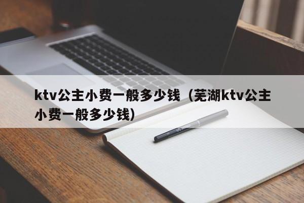 ktv公主小费一般多少钱（芜湖ktv公主小费一般多少钱）