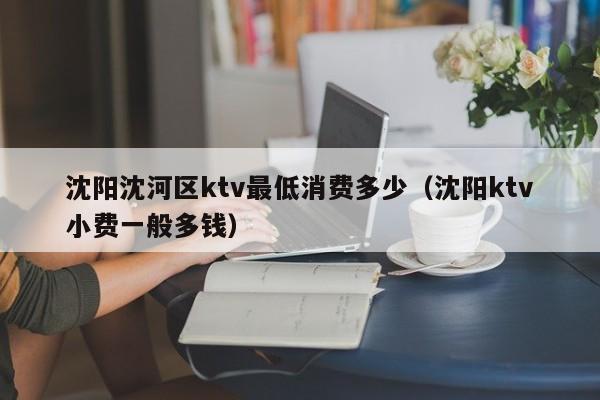 沈阳沈河区ktv最低消费多少（沈阳ktv小费一般多钱）