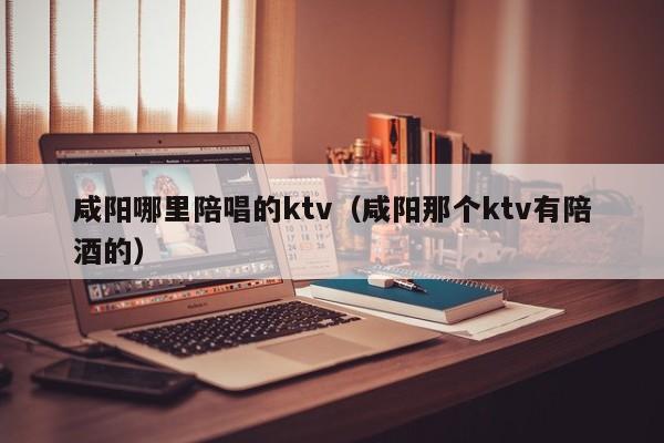 咸阳哪里陪唱的ktv（咸阳那个ktv有陪酒的）